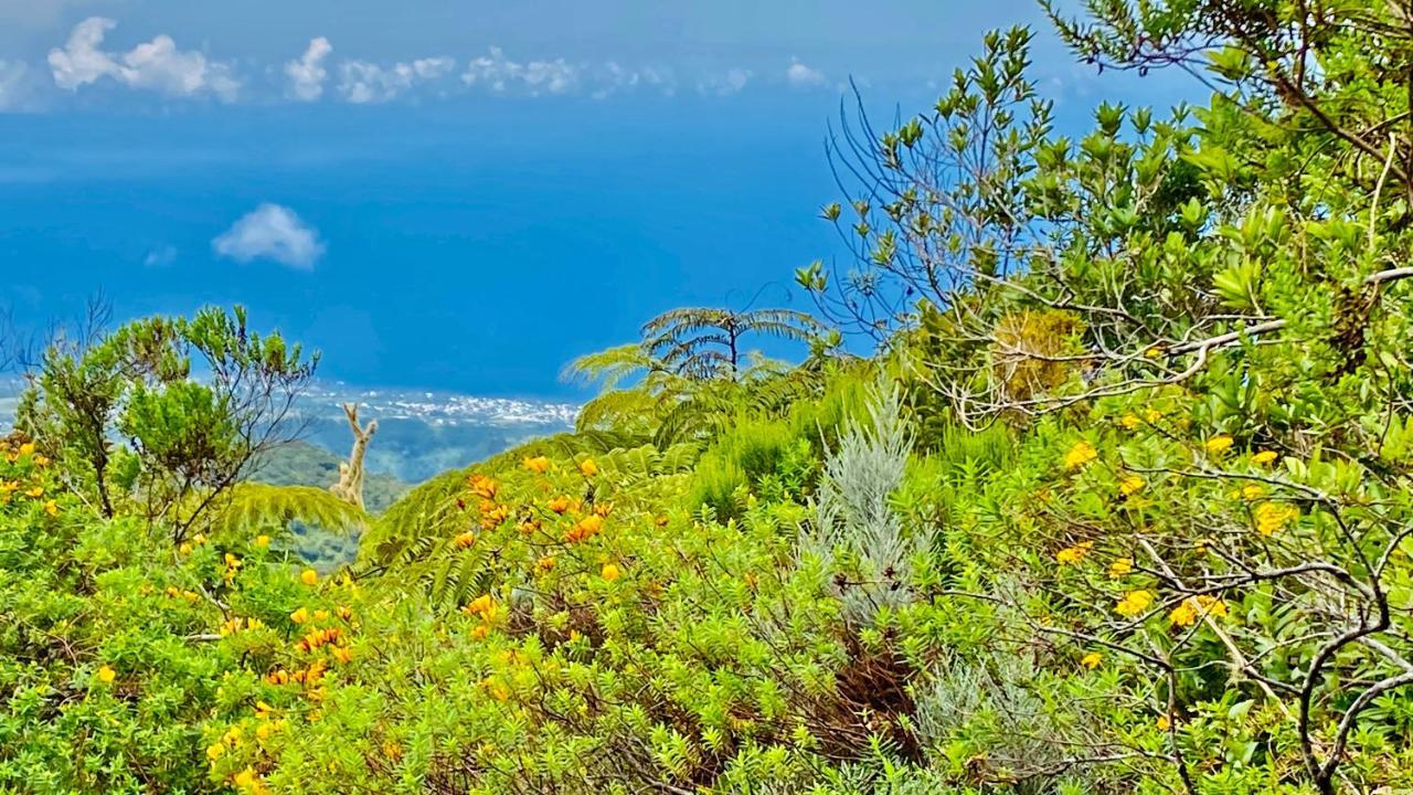 Plumeria Holidays Saint Pierre Esterno foto