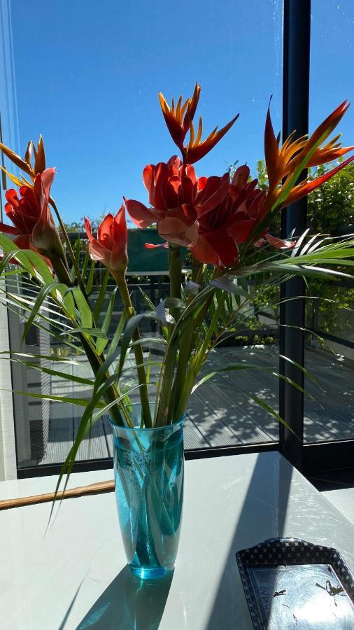 Plumeria Holidays Saint Pierre Esterno foto