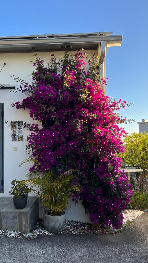 Plumeria Holidays Saint Pierre Esterno foto