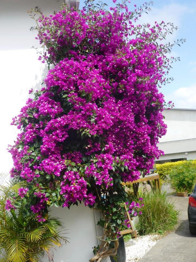 Plumeria Holidays Saint Pierre Esterno foto